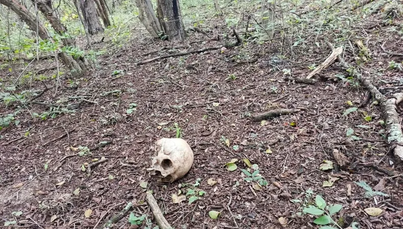Encontraron restos óseos humanos en un monte