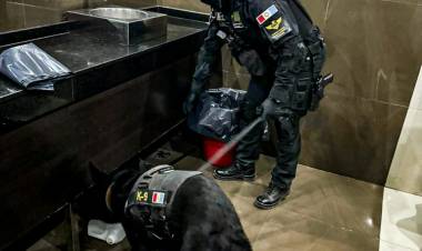 FIESTA DE ELECTRÓNICA:ÉXTASIS, COCAÍNA Y MARIHUANA 