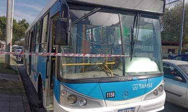 Ómnibus atropelló a una mujer : le amputaron un brazo