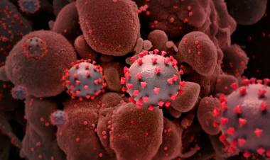 La OMS advierte de una enfermedad incurable