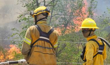 Incendios: se mantiene la actividad 