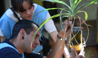 Evitar enfermedades transmitidas por mosquitos