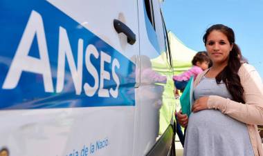 203 casos de embarazos falsos