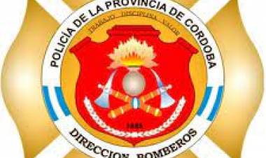 Rescatado bajo el puente