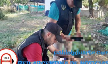 Allanamiento por estafa