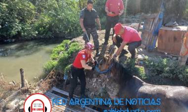 Duar rescató a un caballo que cayó a un canal