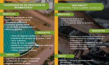 Propuestas laborales