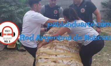 50 detenidos en múltiples allanamientos