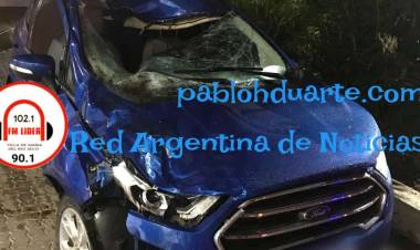 MURIÓ POR UN ANIMAL QUE SE CRUZÓ EN LA RUTA