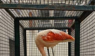 Visita en el Aeropuerto