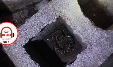 Preocupante sorpresa