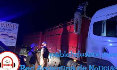 Conductor aprehendido y animales secuestrados