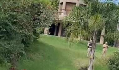 Ciervo en un  domicilio