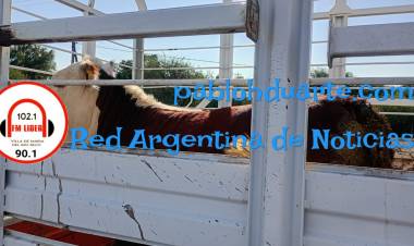 No tenía documentación