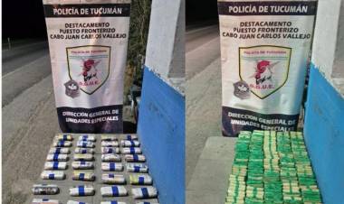 Secuestran 60 kilos de hojas de coca 