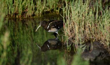 La Provincia impulsa políticas para conservar su patrimonio natural