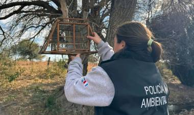 Policía Ambiental allanó viviendas