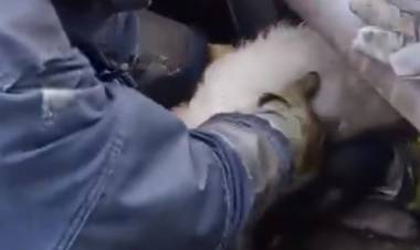 Rescatado de una boca de tormenta