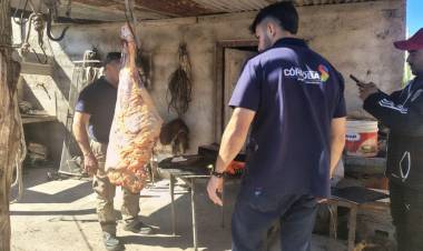 Control sanitario: decomisan carne