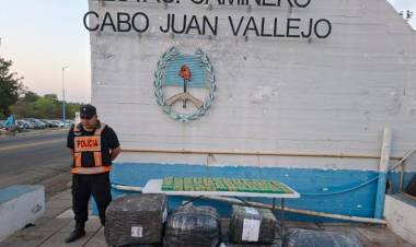 Secuestran 85 kilos de hojas de coca 