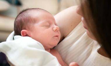 Licencia por Maternidad:  se acredita el monto