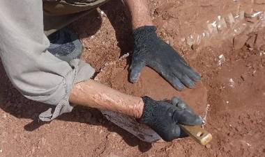 Hallazgo histórico en Córdoba