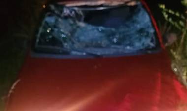 Falleció tras ser atropellado