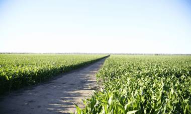 La Provincia impulsa el Seguro Multirriesgo Agrícola