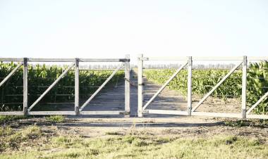 Seguro Multirriesgo Agrícola