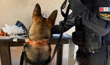 Utilizaban local de ropa para vender drogas