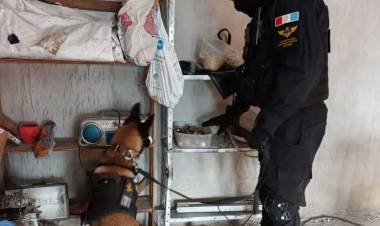 Amistades peligrosas