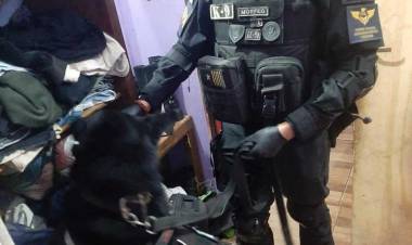 Pareja detenida con más de 5000 dosis