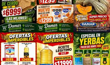 ¡MÁS OFERTAS DE MINIMERCADO DAMAR!