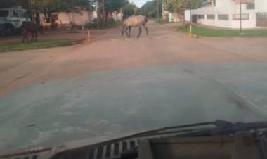 PELIGRO LATENTE EN RÍO SECO