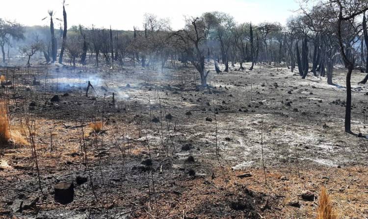 Incendios: declaran contenido el foco de Molinari