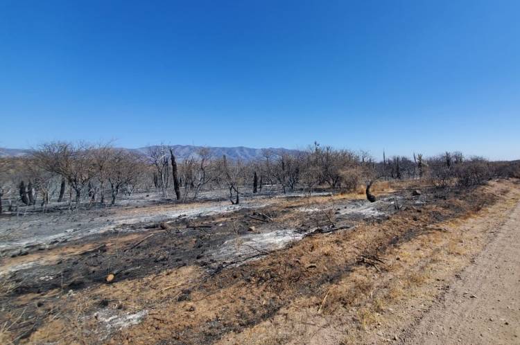  Zona de desastre a los sectores afectados por el fuego