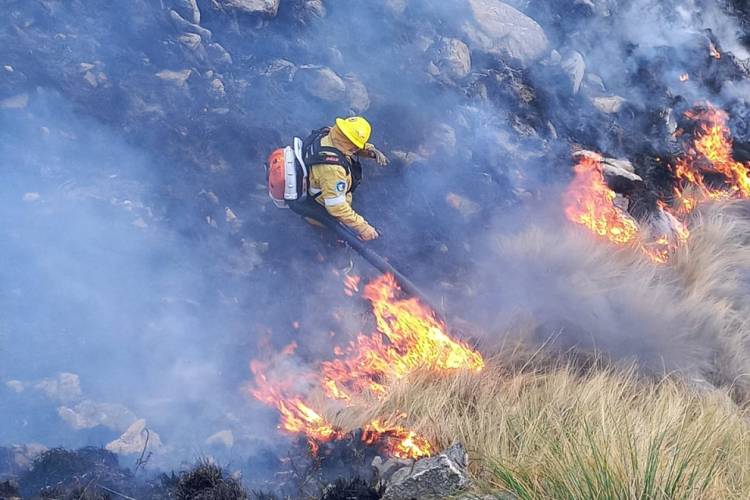 Incendios: se inició un foco