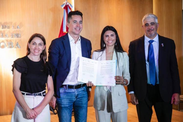 Dengue:  proliferación del Aedes Aegypti