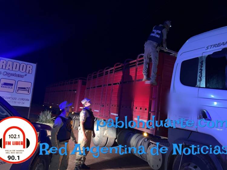 Conductor aprehendido y animales secuestrados