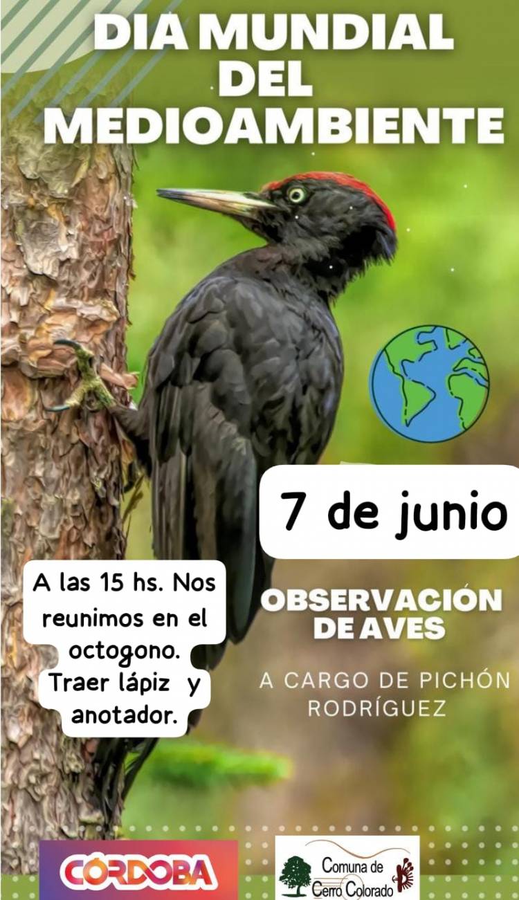 Comuna Cerro Colorado gestión Ana Cecio