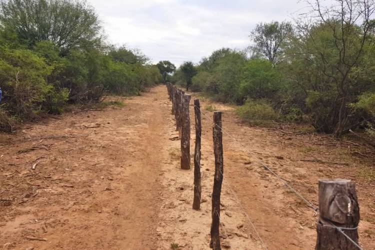 Buenas prácticas agropecuarias para el manejo del fuego