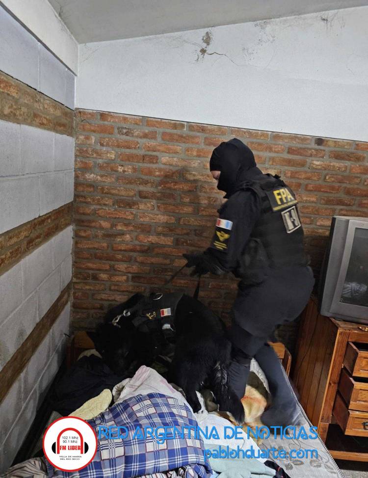 Perro ayudó a desbaratar un punto de venta