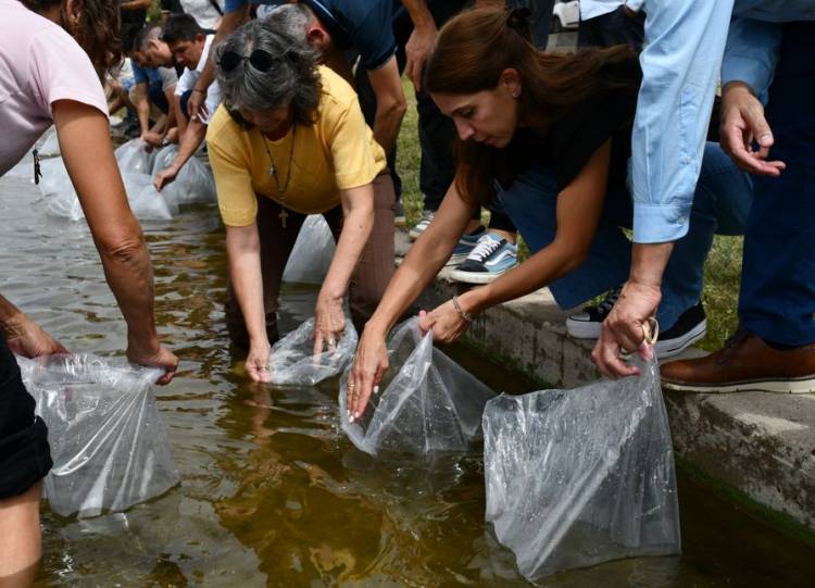 Siembran pejerreyes en el embalse de Cruz del Eje