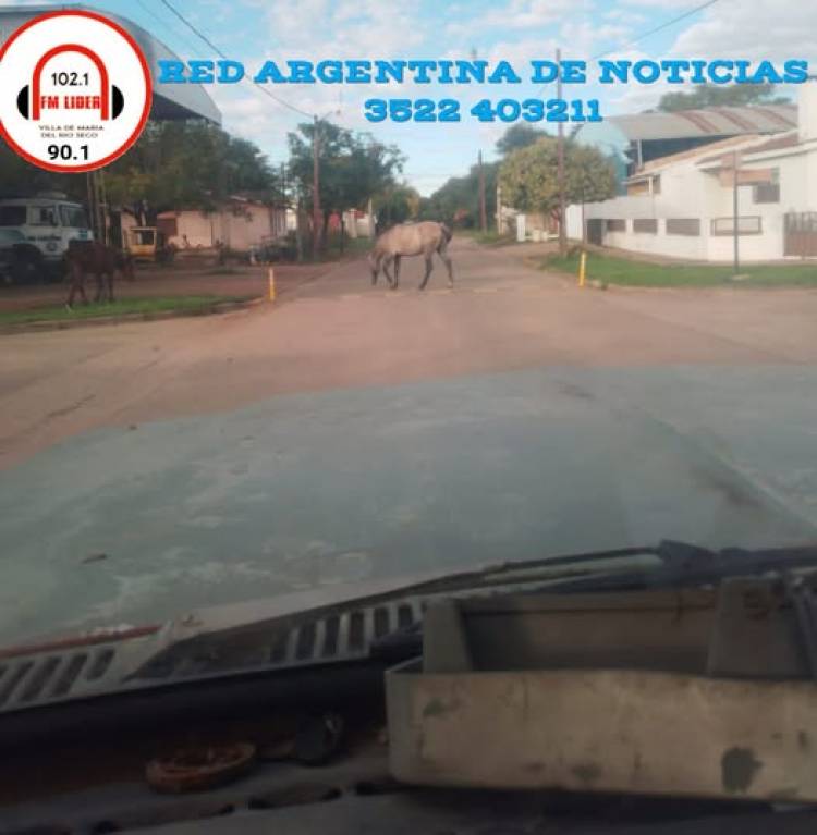 PELIGRO LATENTE EN RÍO SECO